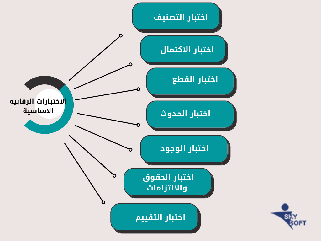 كشف التلاعب في القوائم المالية