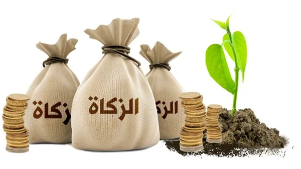 الزكاة :تعريفها وأهميتها والحكمة منها والأموال التي تجب عنها الزكاة