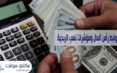 ضوابط رأس المال ومؤشرات نسب الربحية