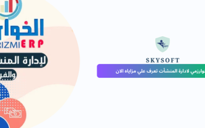دور نظام ERP المحاسبي الخوارزمي في رفع كفاءة المنشآت السعودية