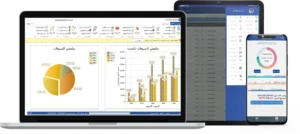 طبيعة الحسابات في المحاسبة, طبيعة الحسابات في المحاسبة.. المفهوم والأقسام وأهم التطبيقات